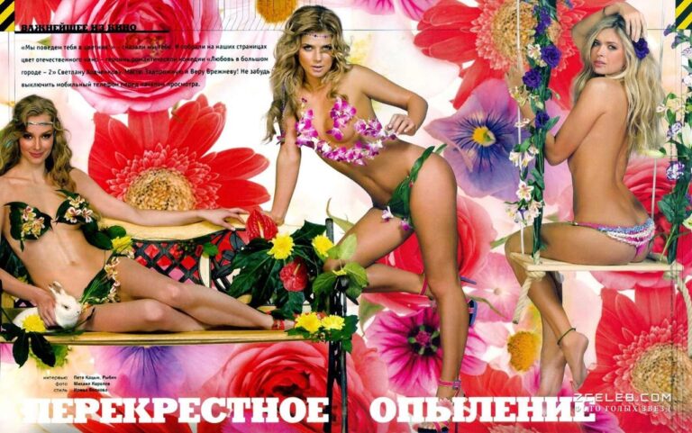 ero svetlana hodchenkova v zhurnale maxim 2010 b85a3c9