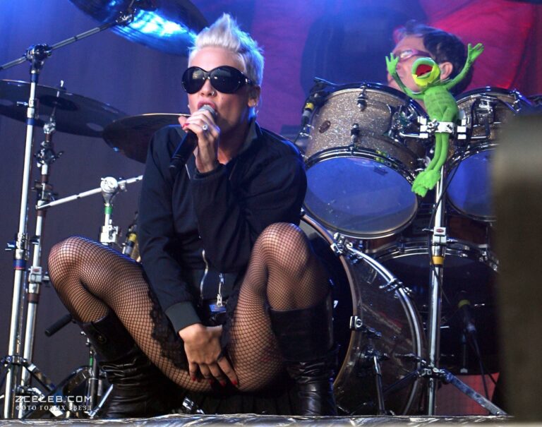 pink zasvetila trusiki na koncerte 12decb7